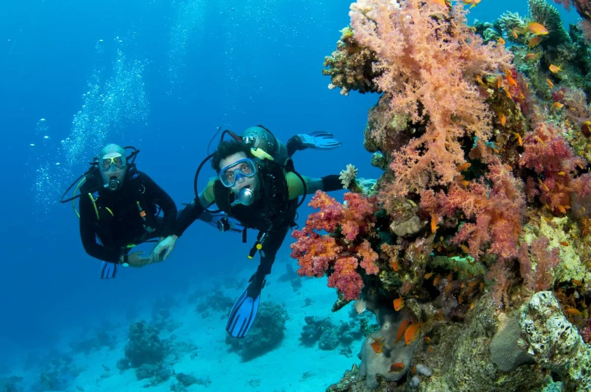 diving in egypt